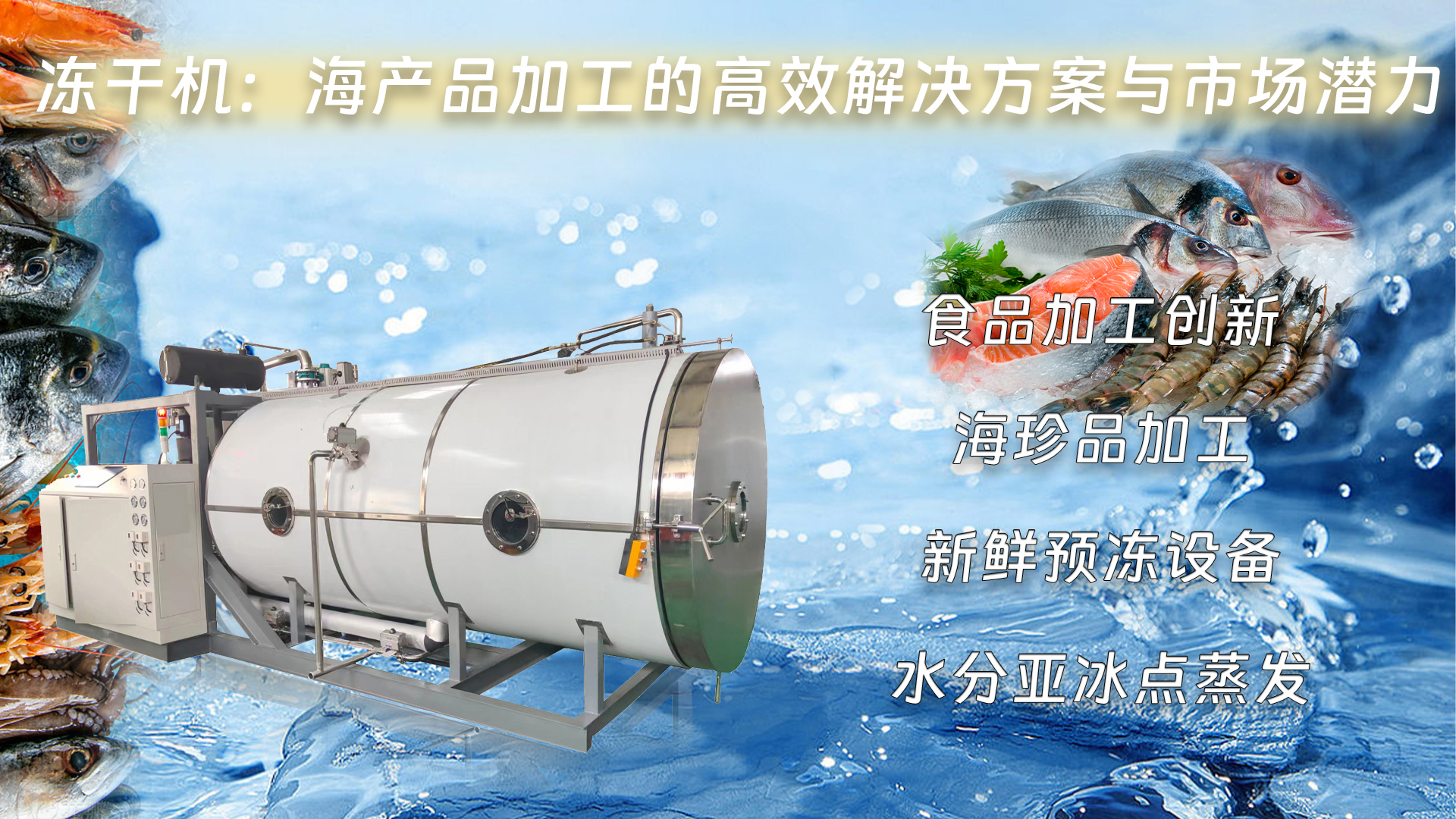 17229945872530.jpg 17229945872530.jpg