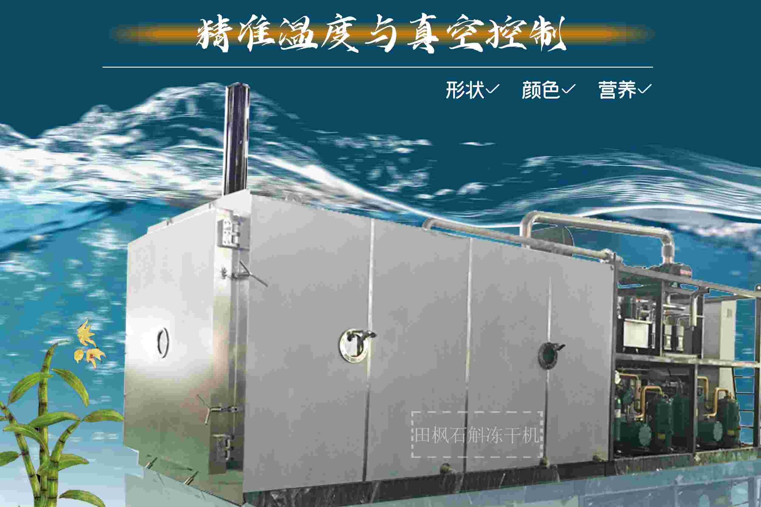 17235118244356.jpg 17235118244356.jpg