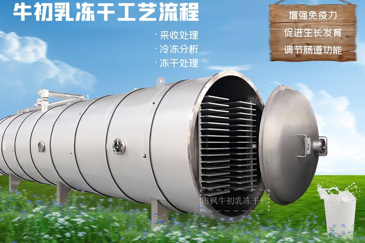 17242899848888.jpg 17242899848888.jpg