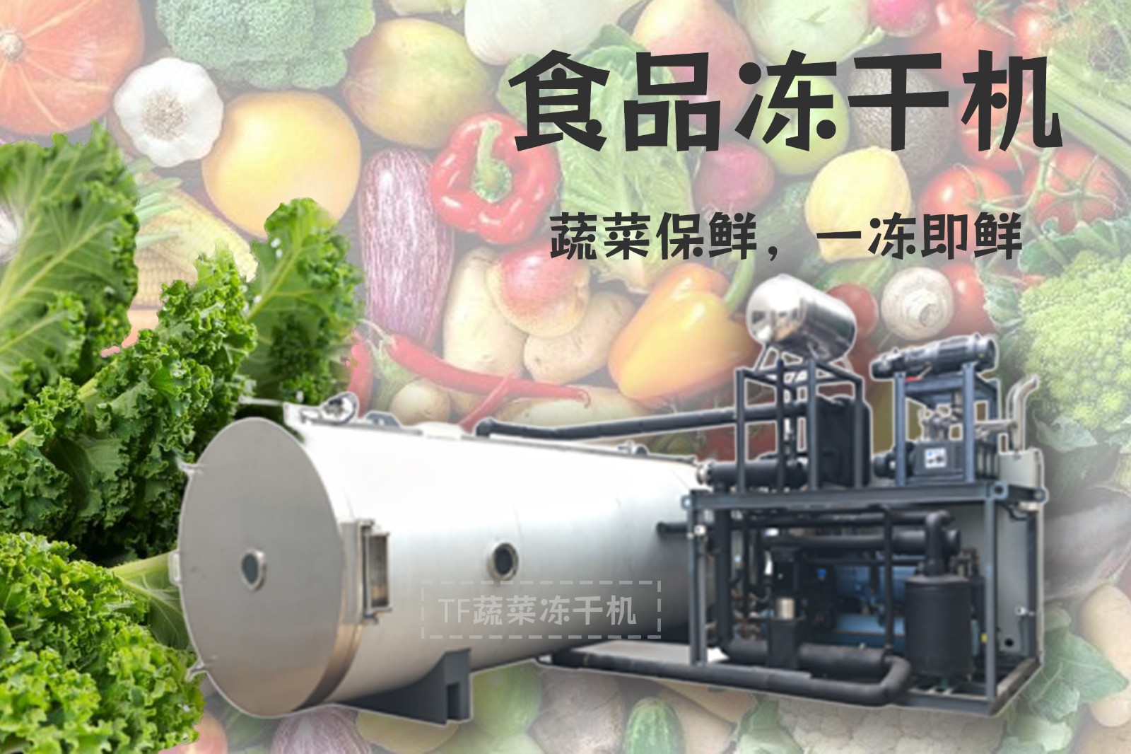 17243755054691.jpg 17243755054691.jpg