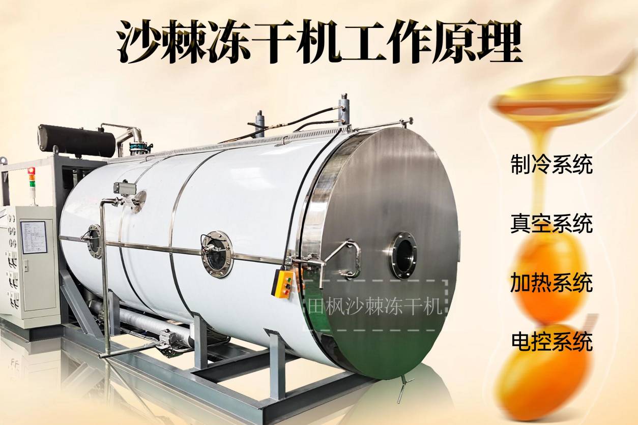 17248069989036.jpg 17248069989036.jpg