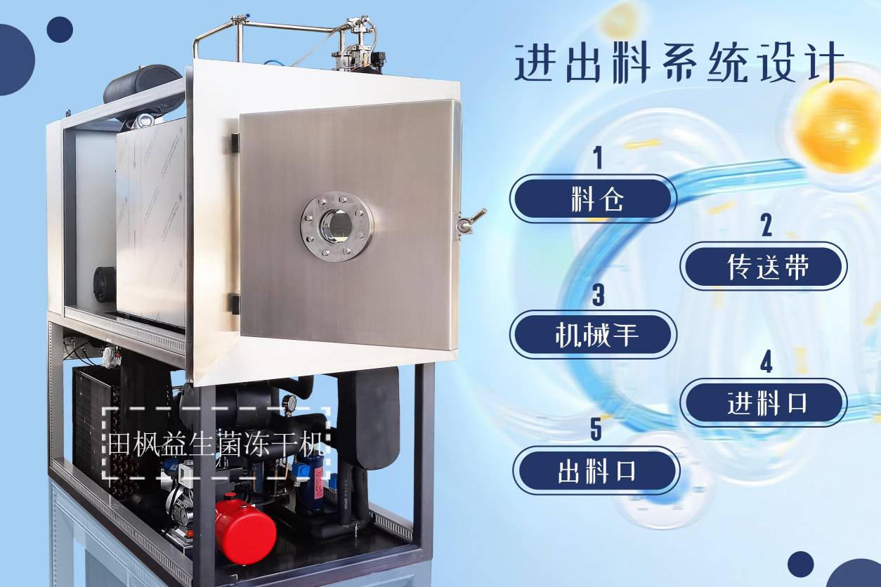 17253276727019.jpg 17253276727019.jpg