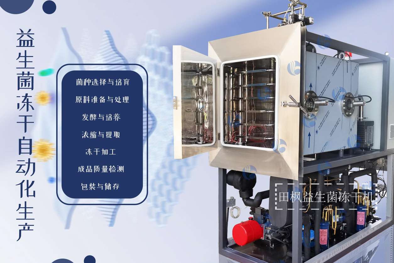 17253276869552.jpg 17253276869552.jpg