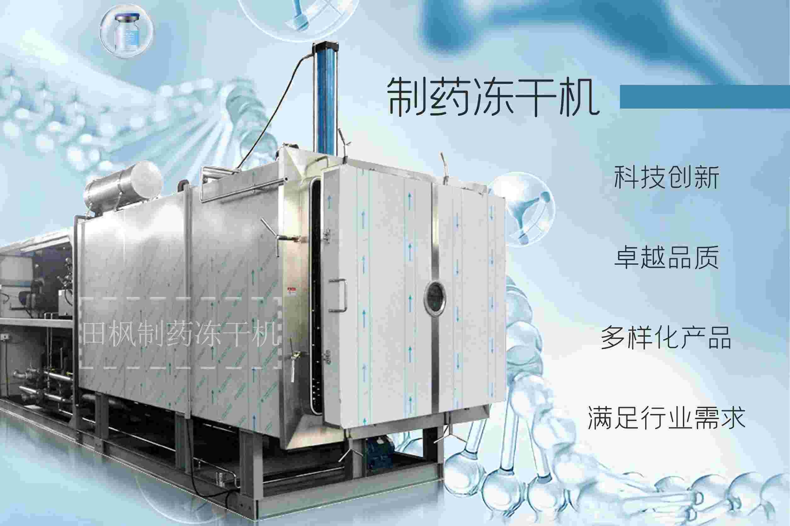 17255020965683.jpg 17255020965683.jpg