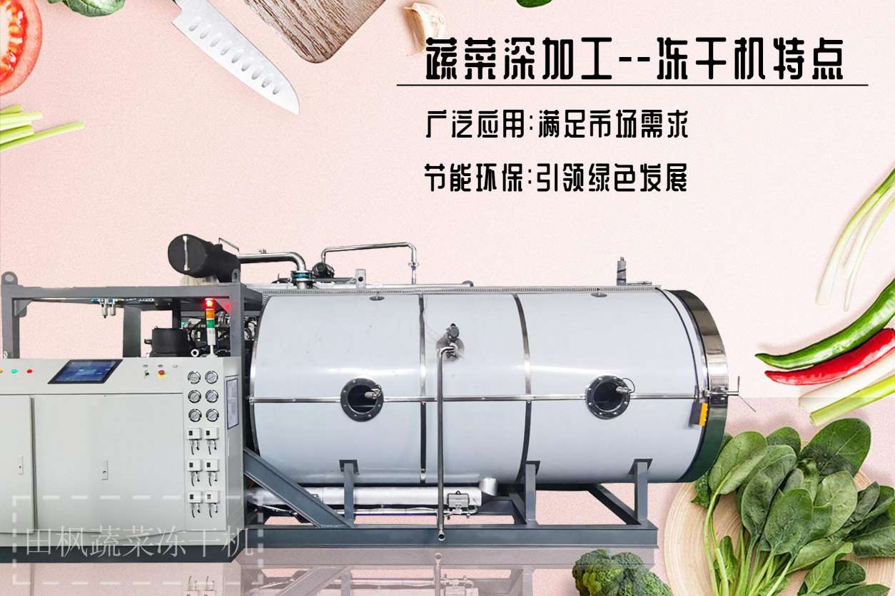 17255855085221.jpg 17255855085221.jpg