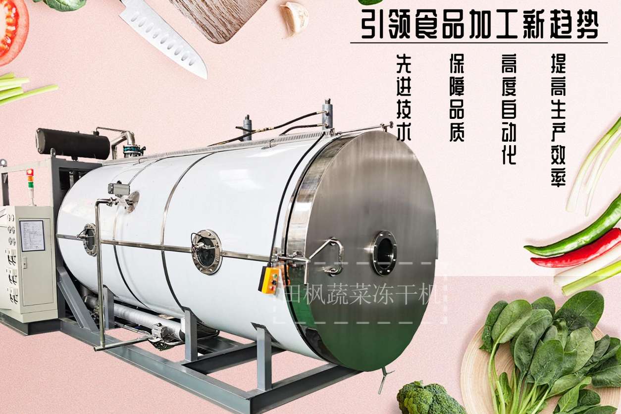 17255855169692.jpg 17255855169692.jpg