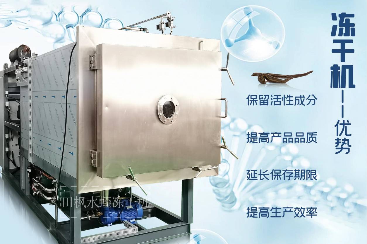 17255858158639.jpg 17255858158639.jpg