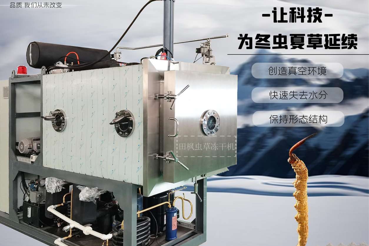 17261899296438.jpg 17261899296438.jpg