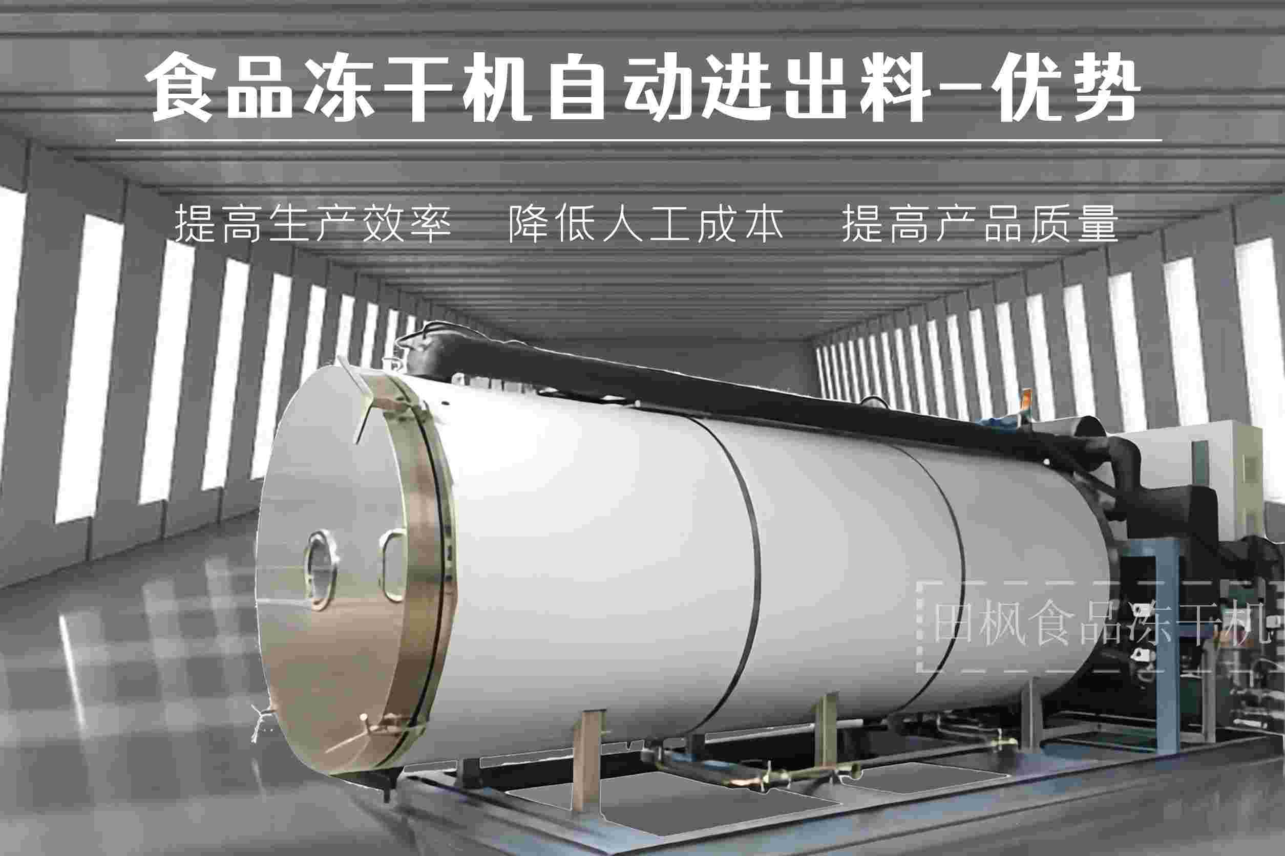 17270515512436.jpg 17270515512436.jpg