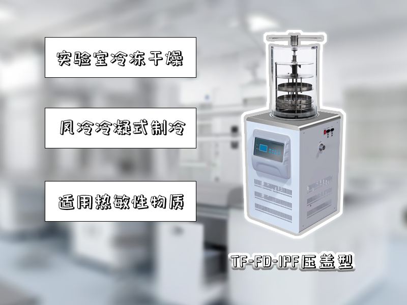 17273114673243.png 17273114673243.png