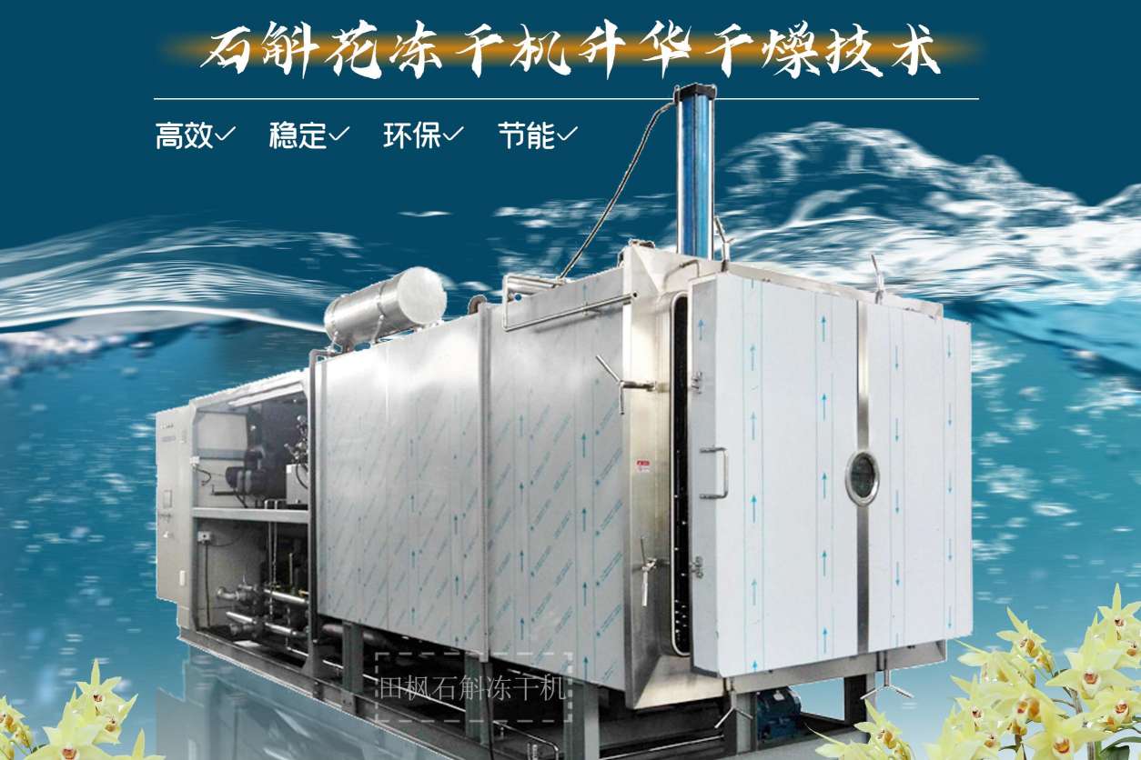 17276556554837.jpg 17276556554837.jpg