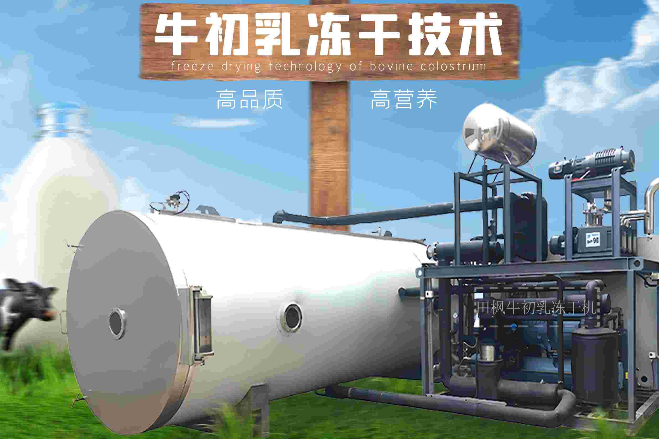 17286079881300.jpg 17286079881300.jpg