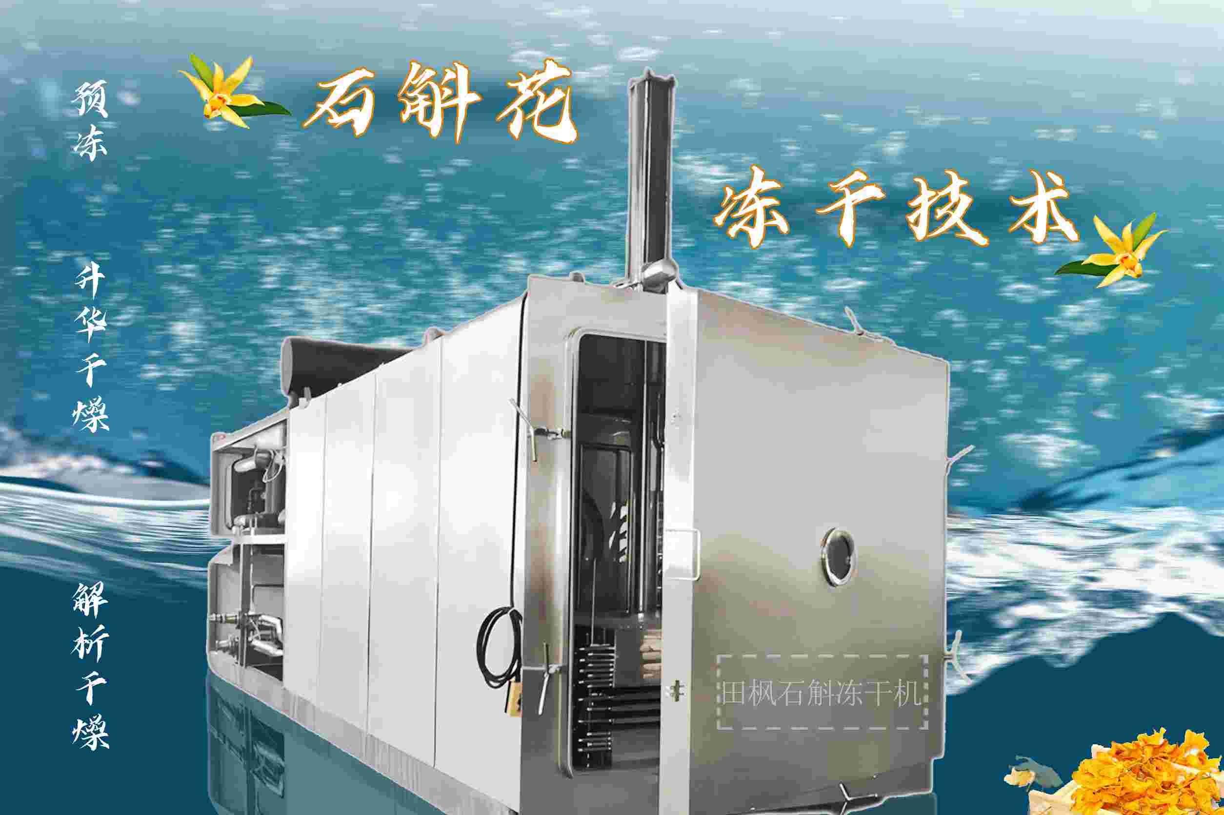 17288663657787.jpg 17288663657787.jpg