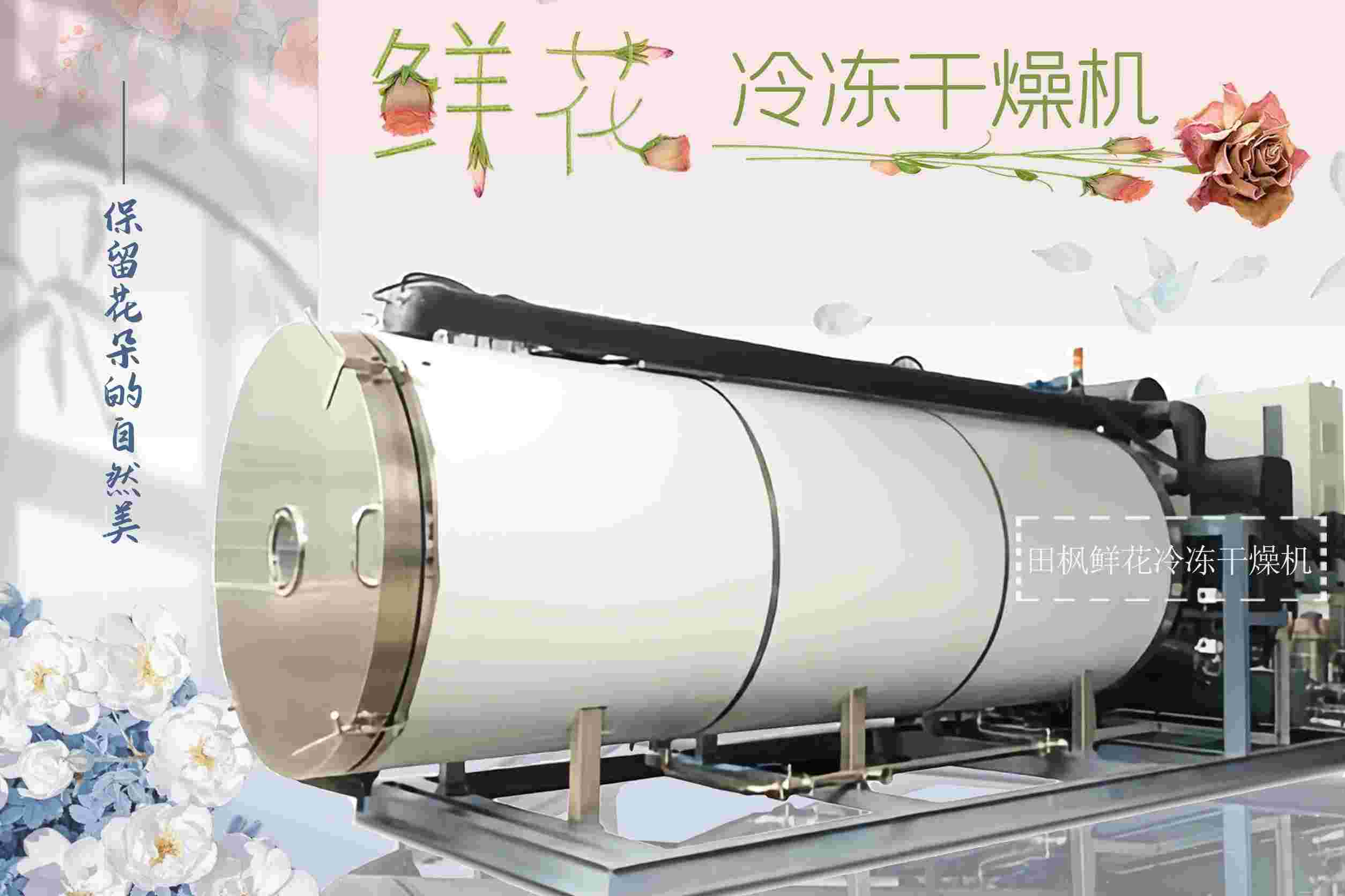 17329283904353.jpg 17329283904353.jpg