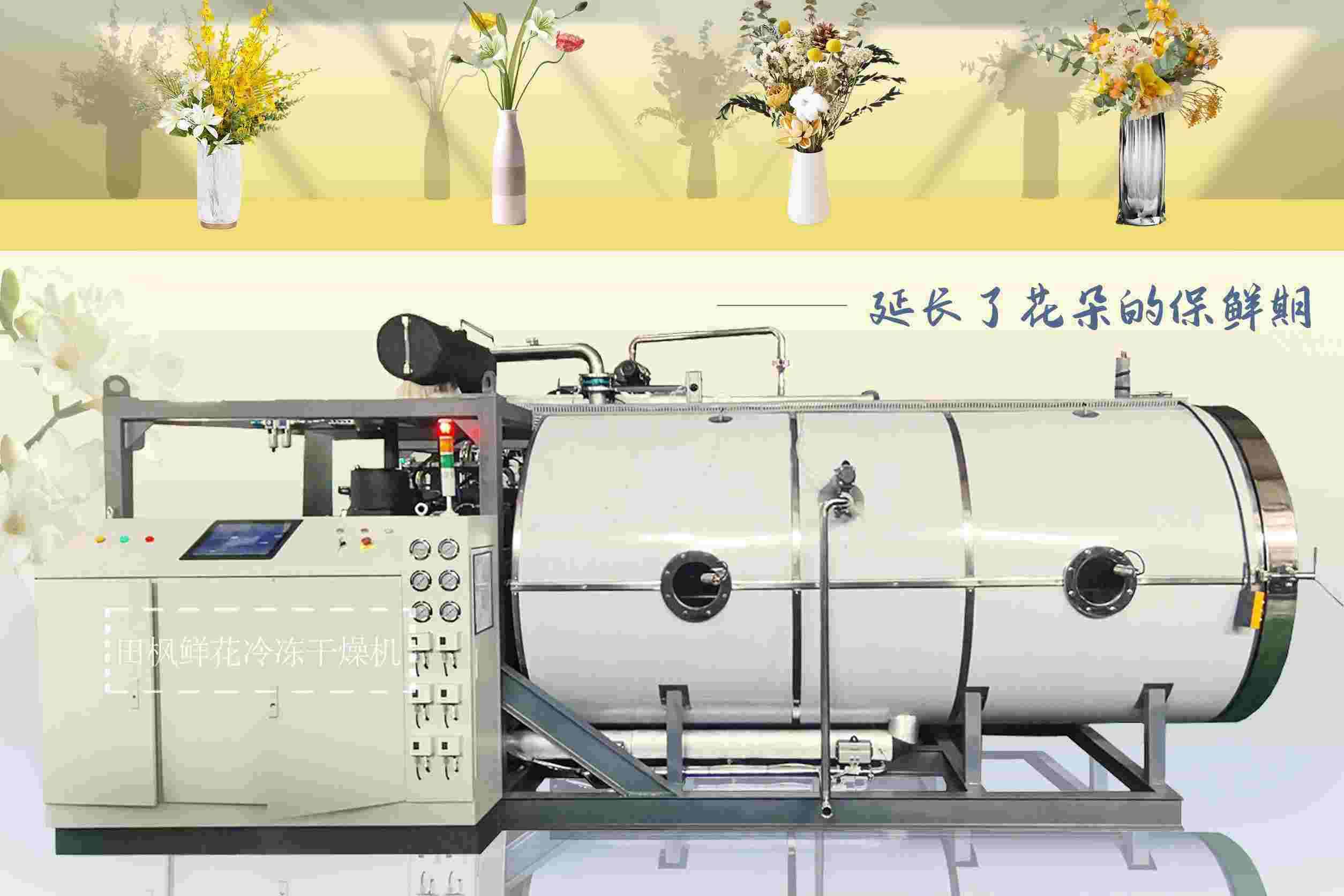 17329283988754.jpg 17329283988754.jpg