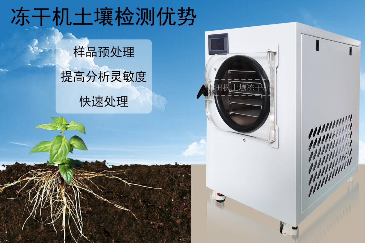 17334463429521.jpg 17334463429521.jpg