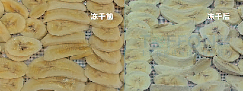 17363888465595.jpg 圖片 1(4).jpg