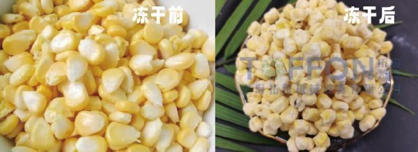 17387299619396.png 圖片 1.png