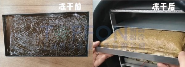 17391750816625.png 圖片 3.png