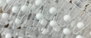 17470405567645.png 圖片 1.png