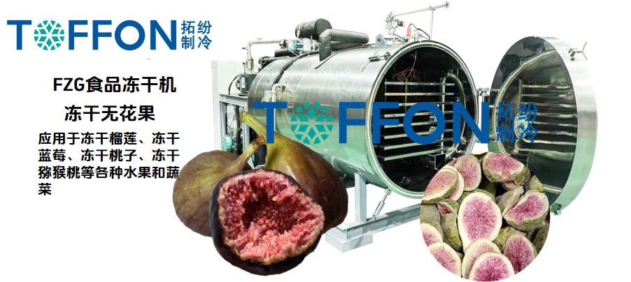 17479035671157.png 圖片 1.png