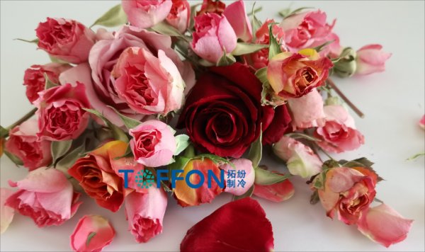 17568828614454.png 圖片 1.png