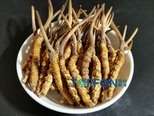 ? 中藥材冷凍干燥機(jī)應(yīng)用案例解析(二)