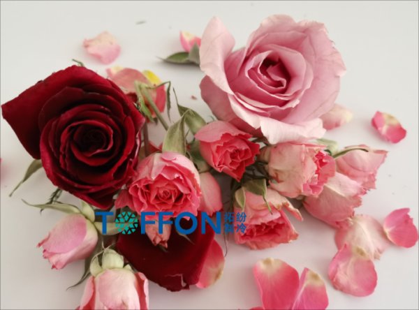 17654336681572.png 17654336681572.png