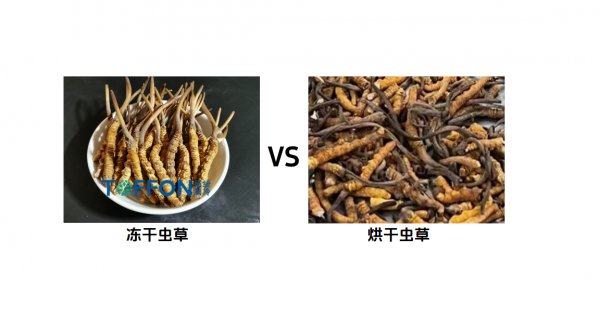 17757876273673.png 17757876273673.png