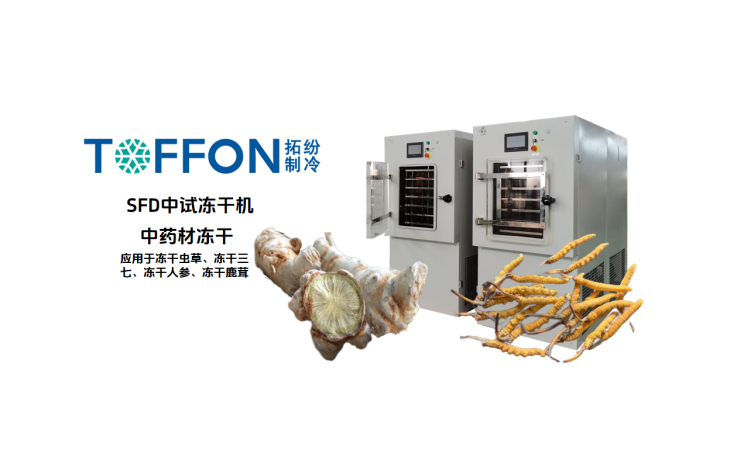 17757876493795.png 圖片 2.png