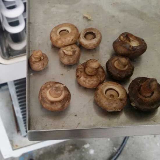 凍干香菇 凍干香菇