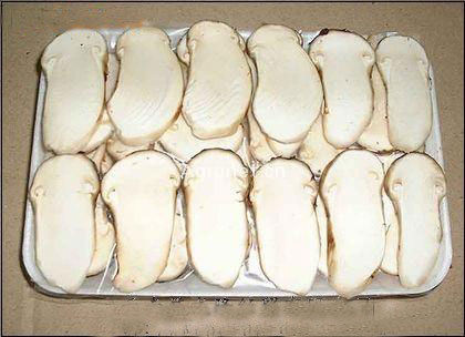 松茸凍干片 松茸凍干片