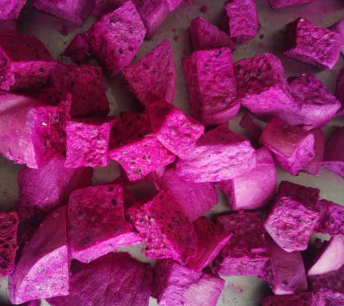 凍干紅心火龍果 凍干紅心火龍果