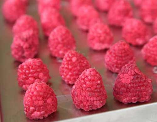 凍干樹(shù)莓 凍干樹(shù)莓